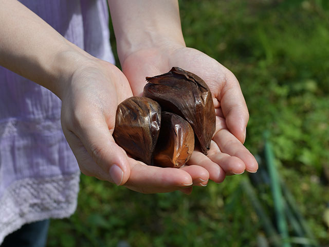 皮付き黒にんにく