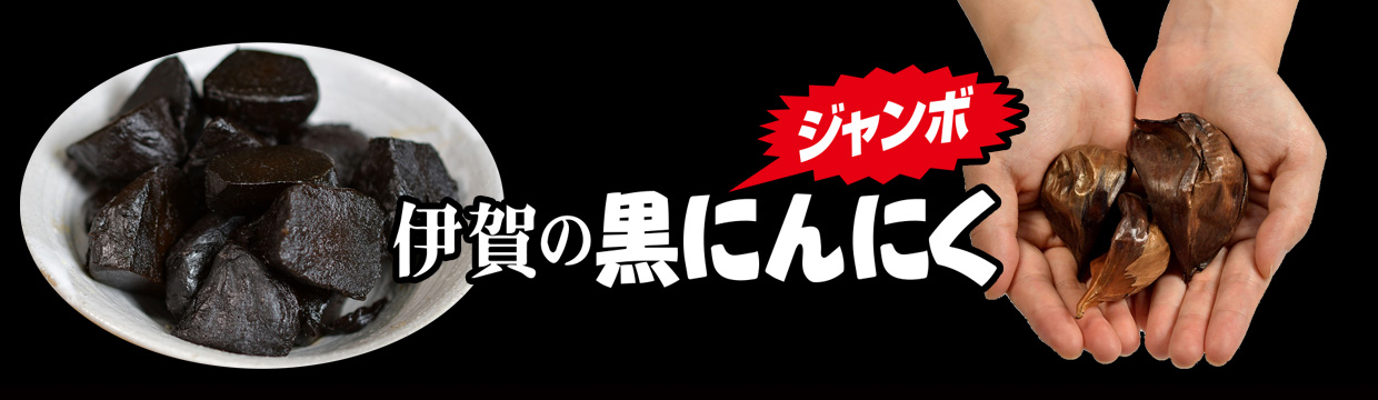 忍者パワーで栄養補給！伊賀のジャンボ黒にんにく